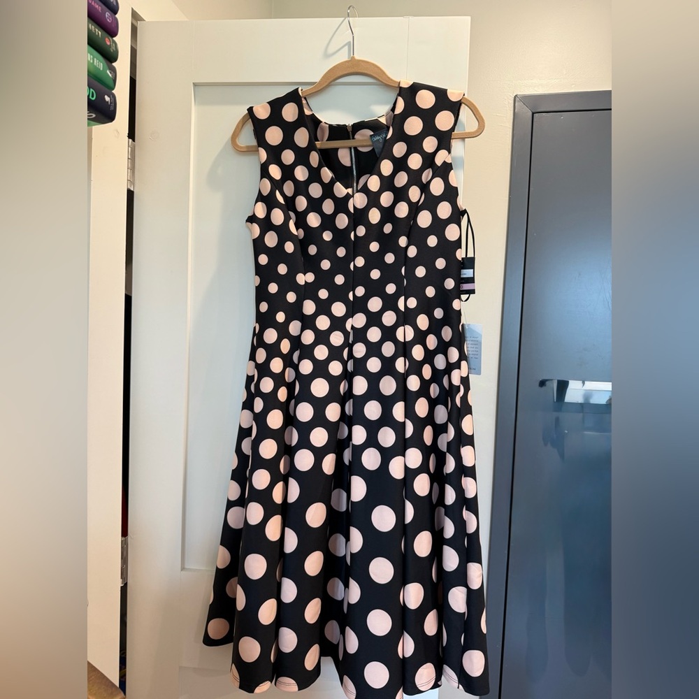 NWT Nordstrom Gabby Skye Black and Pink Polka Dot Dress